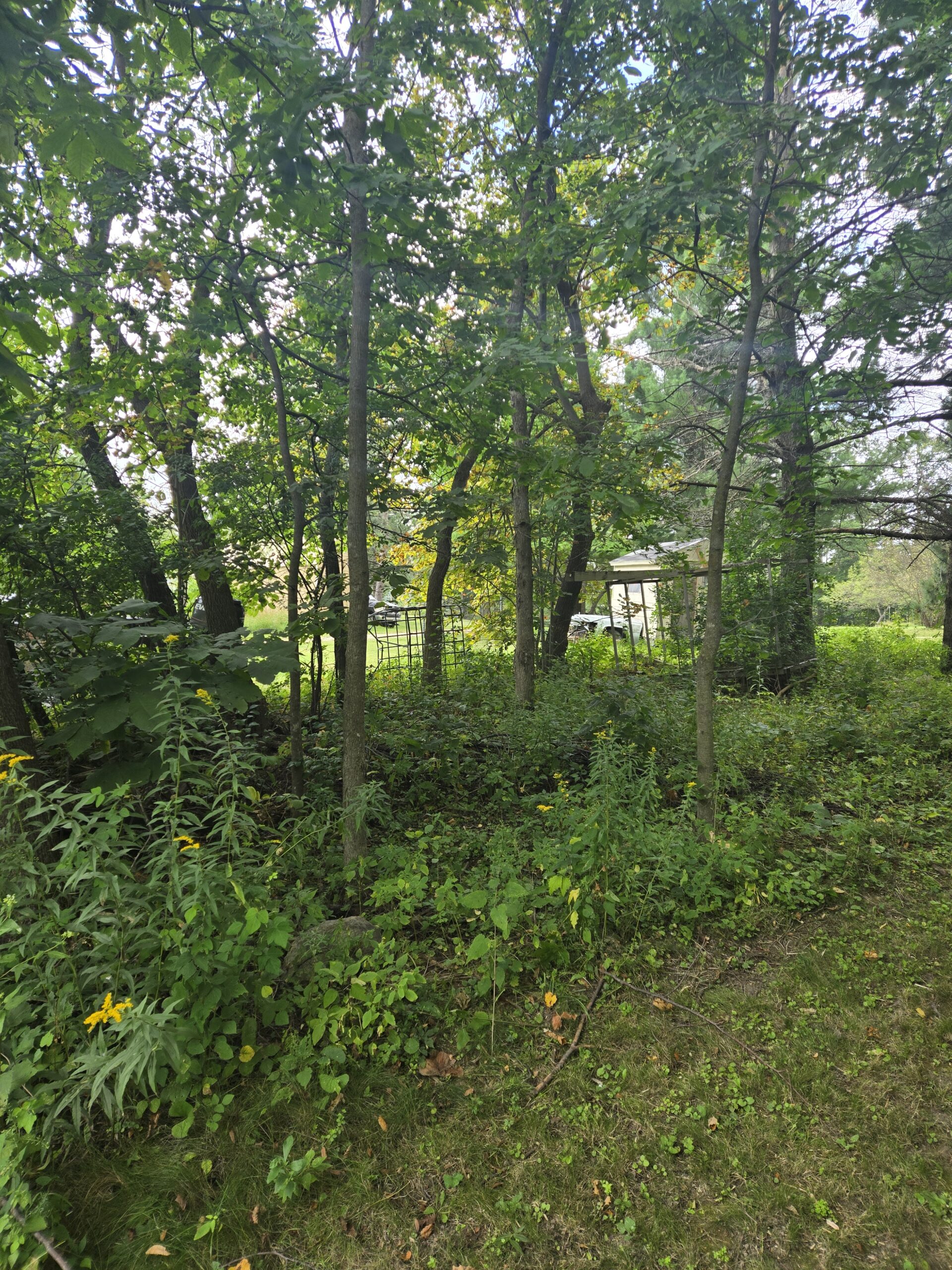 before-and-after-img